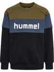 Hummel Claes college genser til barn, beech
