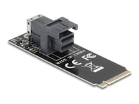 Delock - Gränssnittsadapter - M.2 2260 - M.2 Nvme Card / Pcie 4.0 (Nvme) - M.2 Card