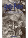Harry Potter 6 - Harry Potter og Halvblodsprinsen - Ungdomsbog - booklet