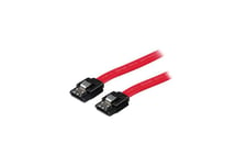 StarTech.com 8in Latching SATA to SATA Cable - F/F - SATA-kabel - 20 cm