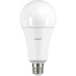 Airam Superlux 20 W -standardglödlampa DIM, E27, 4000 K, 2452 lm