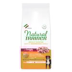 Natural Trainer Sensitive No Gluten Adult Medium/Maxi Single Protein med kanin - Ekonomipack: 2 x 12 kg