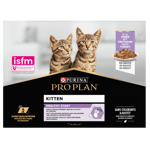 Cat Wet Kitten Healthy Start med kalkun i saus 85 g x 40 stk. - Katt - Kattefôr & kattemat - Våtfôr og våtmat - Purina Pro Plan