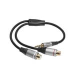 Adaptateur audio stéréo jack 3,5mm vers 2x RCA M/F celexon PRO 0,25 m