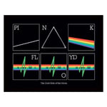 Pyramid International Pink Floyd Poster in Frame (Dark Side of the Moon Heart Beat Design) Wall Art in 30x40cm Frame - Official Merchandise