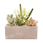 Artificial Succulent Plants in a Rectangular Display Pot