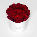 Eternal Petals A 100% Real Roses That Last Years, Handmade in UK – Dozen Roses, Round White Flower Box (Deep Red)