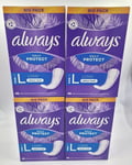 4 X 46 Pack Always Dailies Pantyliners Long, Extra Protect - Lightly Scented