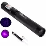 Handhållen Laserpekare Penna Lättviktig Laserpekare för Presentationer Blue Purple Light