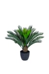 Götessons Konstväxt Cycas Palm inkl. Kruka