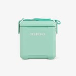 Kylbox Tagalong Too Seafoam, 10L Igloo