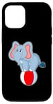 iPhone 15 Pro Elephant Circus Ball Case