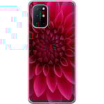 OnePlus 8T Genomskinligt Skal Rosecore