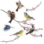Sticker Fenêtre, 31cm x 31cm, Oiseaux