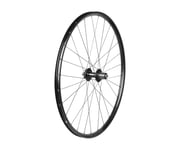 Bakhjul Bontrager Kovee TLR/DC26"41 29" Disc svart