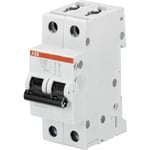 Strömbrytare D 16A 2P, 6kA, S202-C16