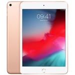 Apple iPad mini 5 (2019) HDD 256 GB Gold (WiFi) | Refurbished - Great Deal!