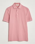 Gran Sasso Washed Polo Pink