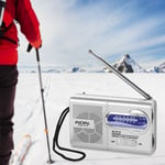 Portable Music MP3 Player Pocket Weather Radio AM/FM Mini Radio World Receiver