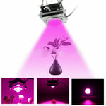 60w Cob Led Grow Light Full Spectrum Lamp Cooling Fan For Hydrop Uk