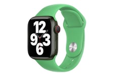 Apple - rem for smart watch