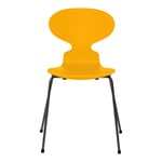 Fritz Hansen - Myran 3101 lackad bokfanér stålstativ varm grafit true yellow - Matstolar - Arne Jacobsen - Gul - Metall/Trä