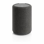 Audio Pro A10 mkII Dark Grey skylt ex 2 års garanti