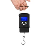 Exnemel Electronic Fishing Scales, Digital Luggage Scales LCD Backlit Digital Balance Portable Hand Held Balance Hanging Suitcase Scale Fish Scales (110lb/50kg) with Hook