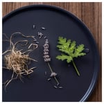 IKEA IKEA FRUKTSKOG potpurri med doft, vetiver & geranium, 90 g, g 90 g