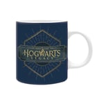 Harry Potter - Hogwarts Legacy Logo - Muki