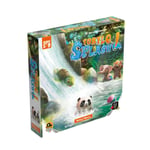 Lucky Duck Games Turtle Splash Board Game - Fun and Educational Fami (US IMPORT)