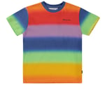 Molo GOTS Roxo T-shirt Rainbow Spray | Blå | 104 cm