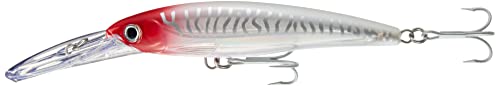 Rapala - Leurre de Pêche X-Rap Magnum - Matériel de Pêche avec Grande Bavette Plongeante - Leurre Pêche en Mer - Profondeur de Nage 9m - 16cm / 72g - Fabriqué en Estonie - Bonito Multicolore Standard