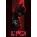 - The Batman (Out Of Shadows) Plakat