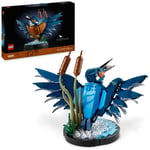 LEGO Icons Kingfisher Bird Building Kit for Adults 10331