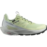 Salomon Elixir Activ GTX, Dame Green/Gray/Phantom 41 1/3