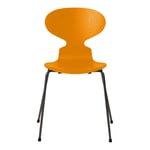 Fritz Hansen - Myran 3101 färgad askfanér stålstativ varm grafit burnt yellow - Matstolar - Arne Jacobsen - Gul - Metall/Trä
