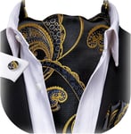 Dubulle Paisley Cravat Set for Men Mens Solid Color Floral Handkerchief Ascot