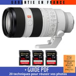 Sony FE 70-200mm F2.8 GM OSS II + 3 SanDisk 128GB Extreme PRO UHS-II SDXC 300 MB/s + Guide PDF '20 TECHNIQUES POUR RÉUSSIR VOS PHOTOS