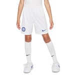 Nike Unisex Kids Shorts Inter Y NK DF Stad Short Ha, White/White/Lyon Blue, DX2785-100, M