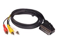 Philips SWV2255W - Câble vidéo/audio - vidéo / audio composite - SCART mâle pour RCA mâle - 1.5 m - blindé