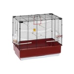 Ferplast Cage Oiseau Piano 4, Cage Canari Oiseaux, avec Mangeoires, Abreuvoir pour Oiseaux, 59 x 33 x h 55 cm, avec Accessoires, Plateau Amovible