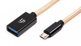 iFi Audio On-The-Go USB Micro