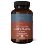 TERRANOVA Astragalus 500mg - 100 Capsules