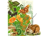Madame Treacle B6-carnet och etikett med kuvert - Brun kanin