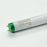 Philips G13 T8 32 W 840 Master TL-D Eco