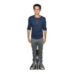 Dylan O'Brien Blue Shirt Lifesize and Mini Cardboard Cutout / Standee / Standup