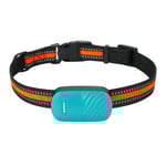 Pet GPS Tracker, Realtidspositionering, Hållbar vattentät design,Grön