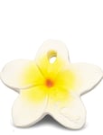OLI & CAROL Bali The Flower Multi/patterned