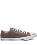Converse All Star Unisex Chuck Taylor Low Top - Taupe - Charcoal Canvas - Size UK 6